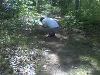 Looking for chipmunks